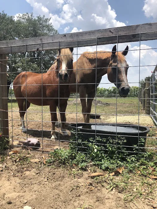 Heartland Large Animal Services 12
