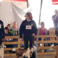 Heartland Large Animal Services ico