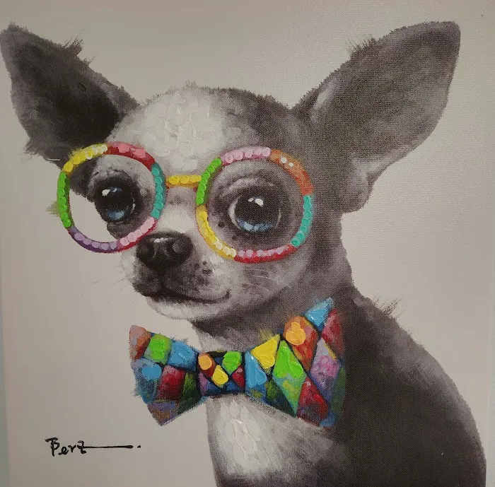 Main Street Veterinary Center 12