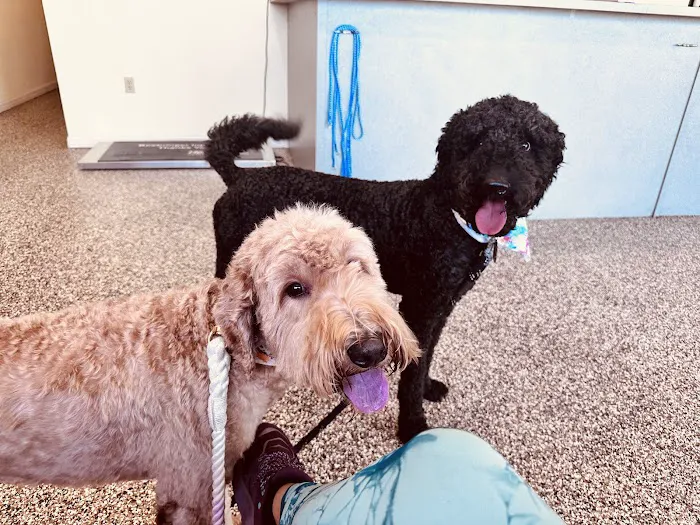 Ark Animal Hospital 2