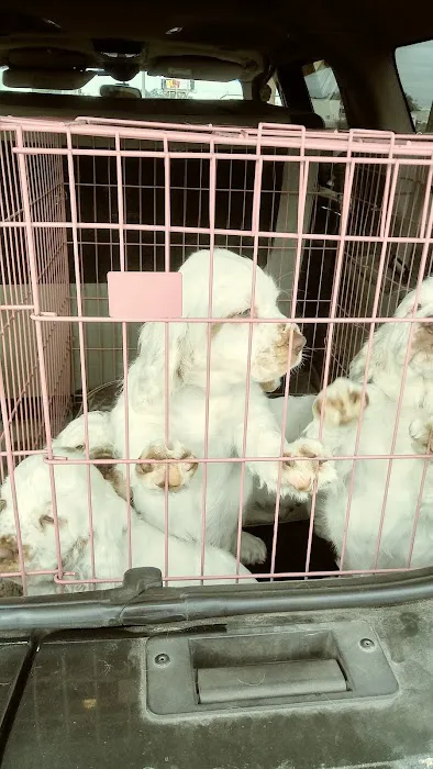 Ark Animal Hospital 5