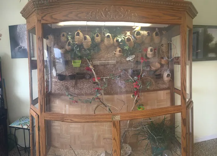Ark Animal Hospital 4