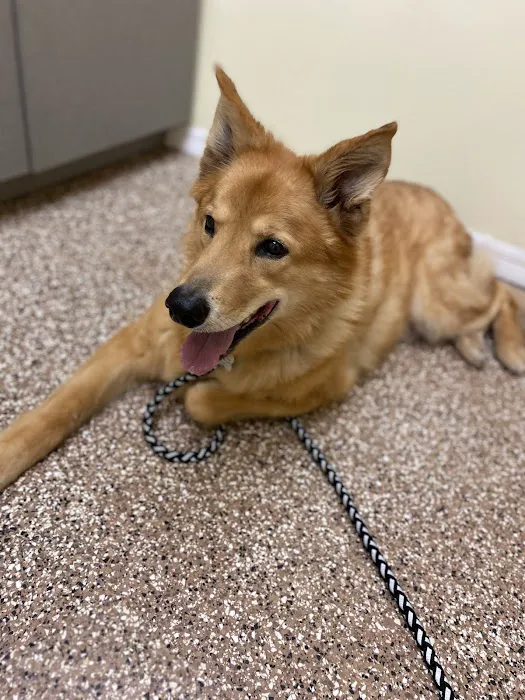 Ark Animal Hospital 8