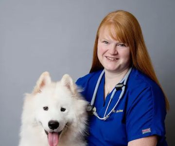 Highland Pet Hospital
