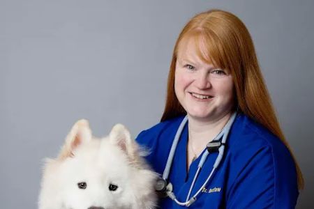 Highland Pet Hospital