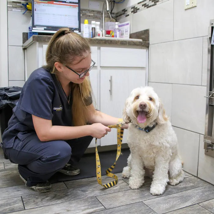 Highland Pet Hospital 12