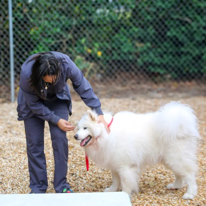 Highland Pet Hospital 12