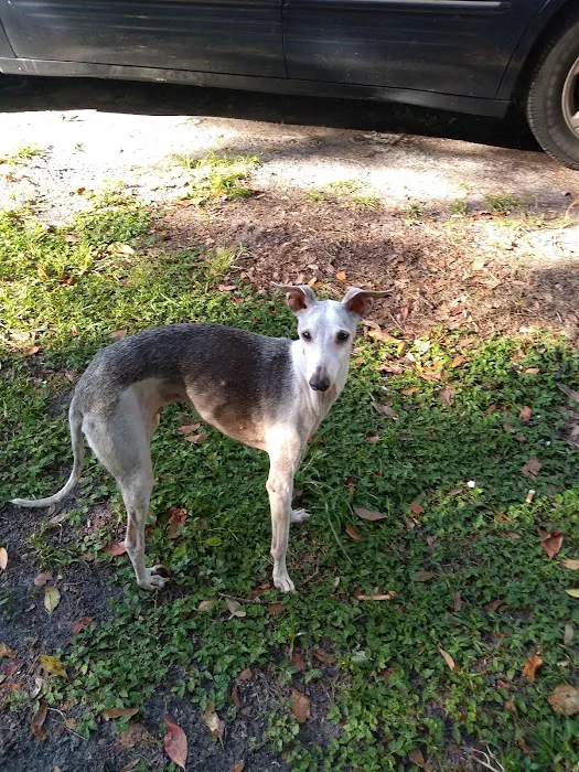 Backwoods Trail Veterinary 3