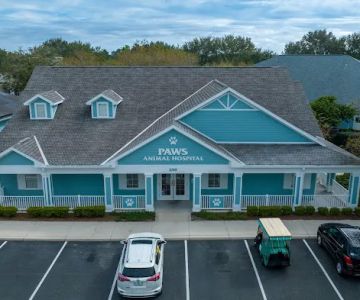 Paws Animal Hospital