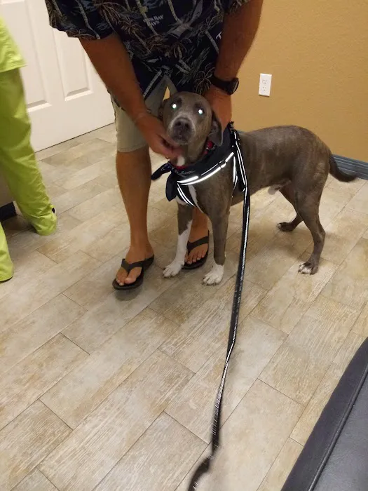 Paws Animal Hospital 2