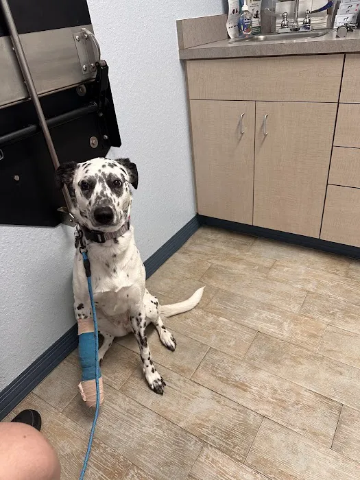 Paws Animal Hospital 9