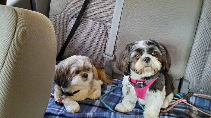 Sumter County Animal Hospital (Vet) 12