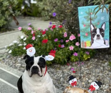 Sumter County Animal Hospital (Vet)