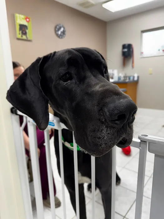 Country Oaks Veterinary Clinic 3
