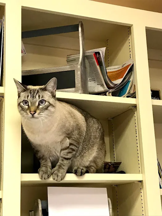 Country Oaks Veterinary Clinic 9