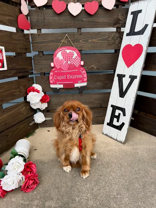Mulberry Grove Animal Hospital 5