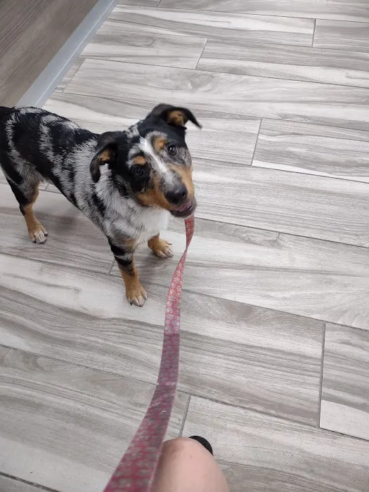 Mulberry Grove Animal Hospital 7