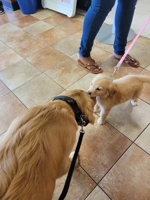 Banfield Pet Hospital 12
