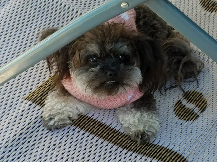Banfield Pet Hospital 12