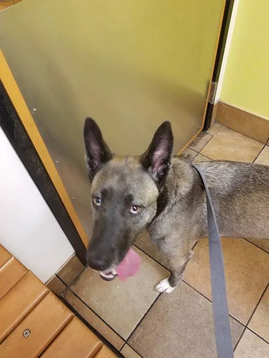 Banfield Pet Hospital 12