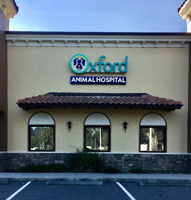 Oxford Animal Hospital 10