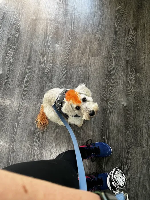Oxford Animal Hospital 2