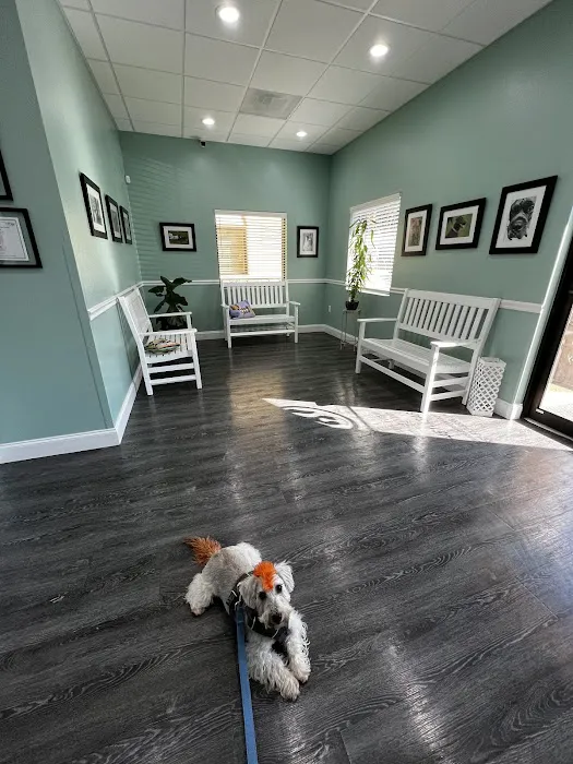 Oxford Animal Hospital 7