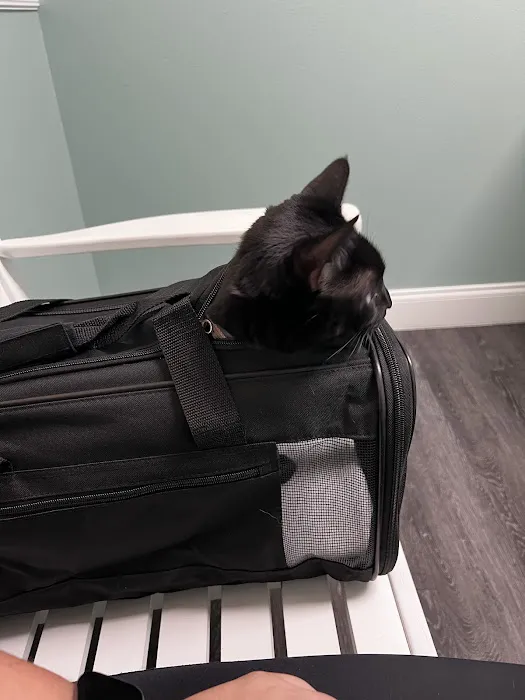 Oxford Animal Hospital 8