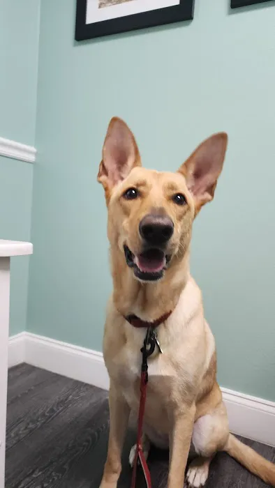 Oxford Animal Hospital 5