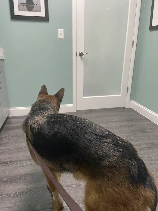 Oxford Animal Hospital 6