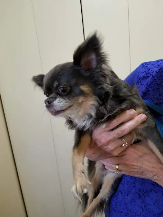 Happy Tails Pet Clinic 4