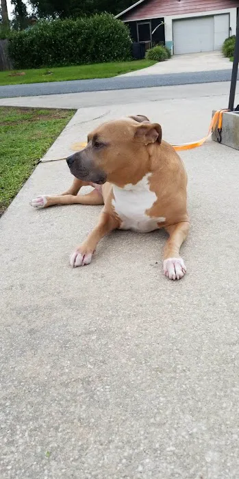 Happy Tails Pet Clinic 5