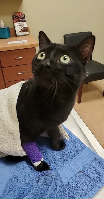 Lake Panasoffkee Animal Clinic 12