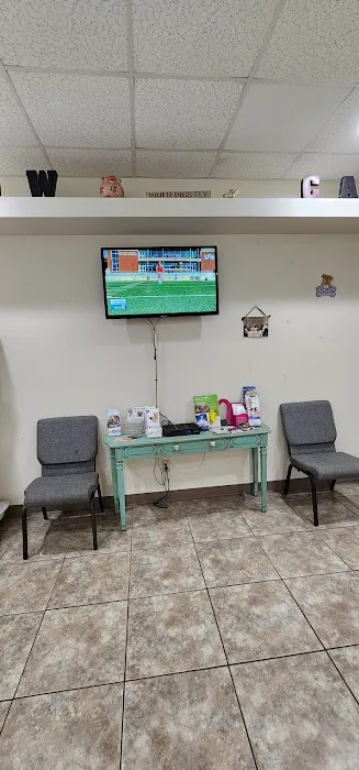 Lake Panasoffkee Animal Clinic 12