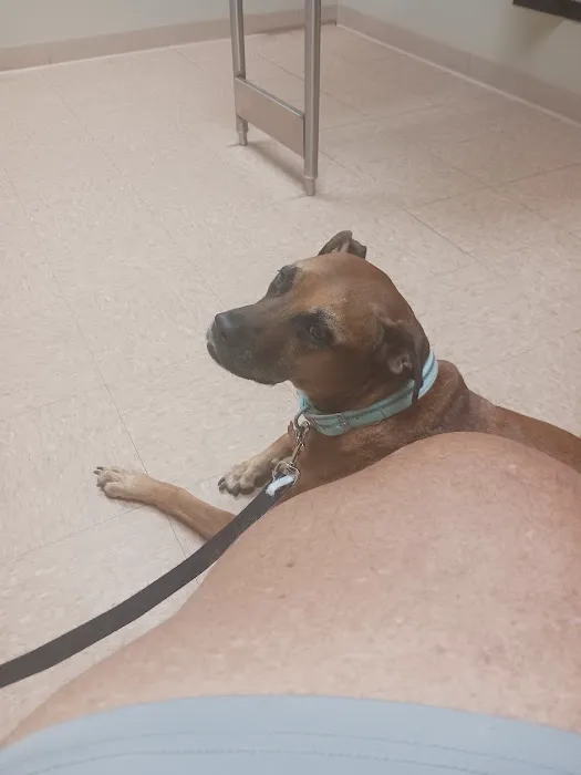 Lake Panasoffkee Animal Clinic 12