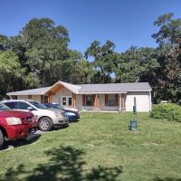 Live Oak Animal Clinic ico