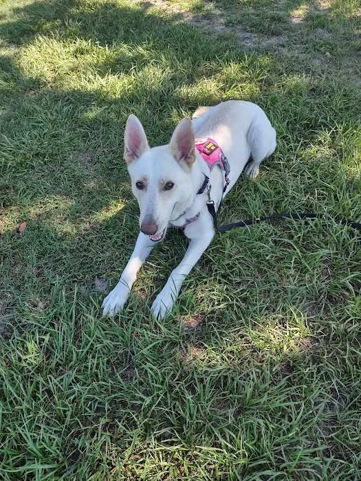 Live Oak Animal Clinic 4