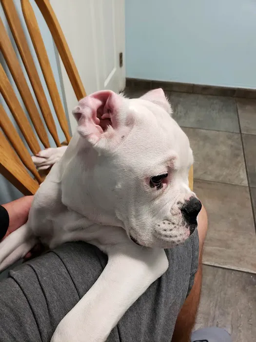 Live Oak Animal Clinic 2
