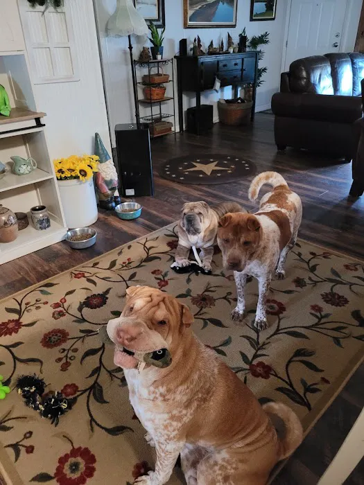 Live Oak Animal Clinic 3