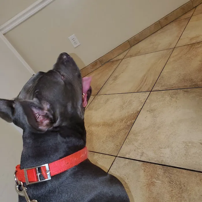 Camelot Animal Hospital 8