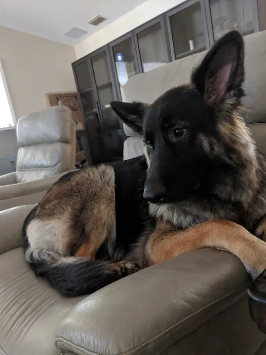 Pupsicles, LLC 1