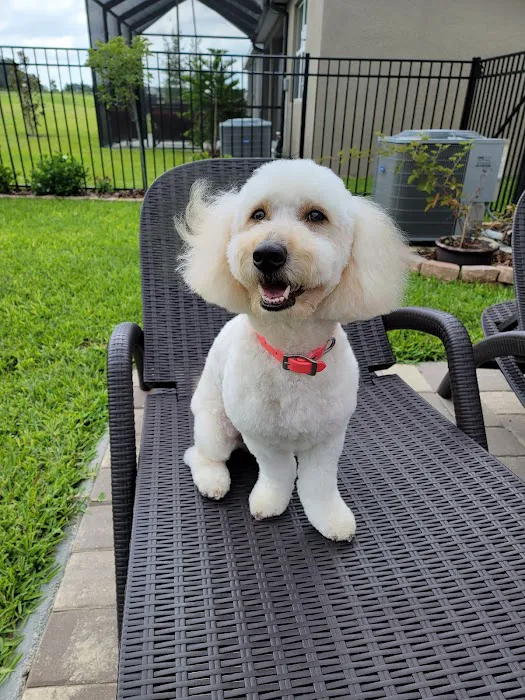 Pupsicles, LLC 5