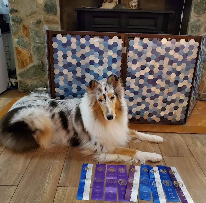 Pupsicles, LLC 3