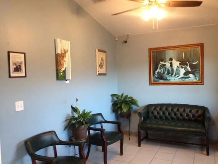 Silver Springs Shores Animal Hospital 1