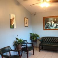 Silver Springs Shores Animal Hospital ico
