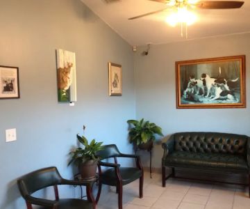 Silver Springs Shores Animal Hospital