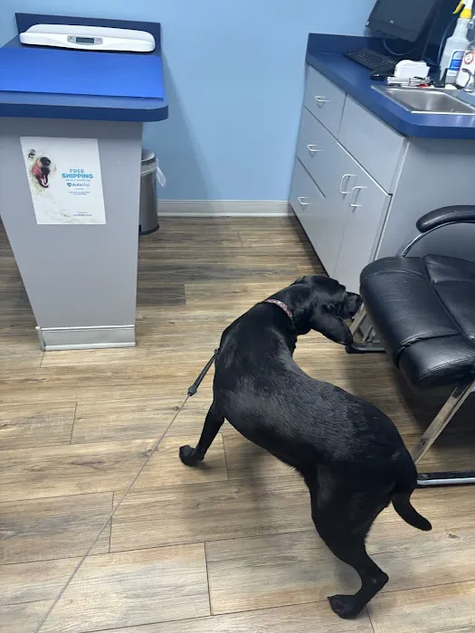 Silver Springs Shores Animal Hospital 5