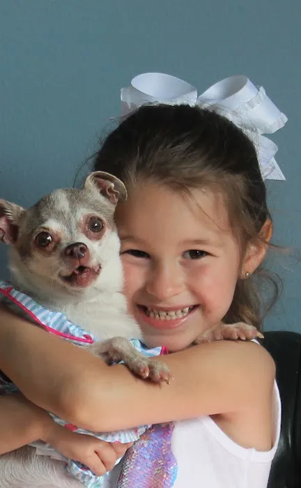 Silver Springs Shores Animal Hospital 6
