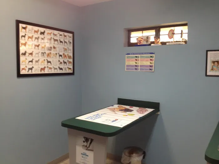 Silver Springs Shores Animal Hospital 2
