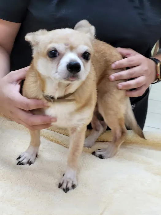 Outback Animal Clinic: Proutsos Regina DVM, Bouton Rachel DVM 1